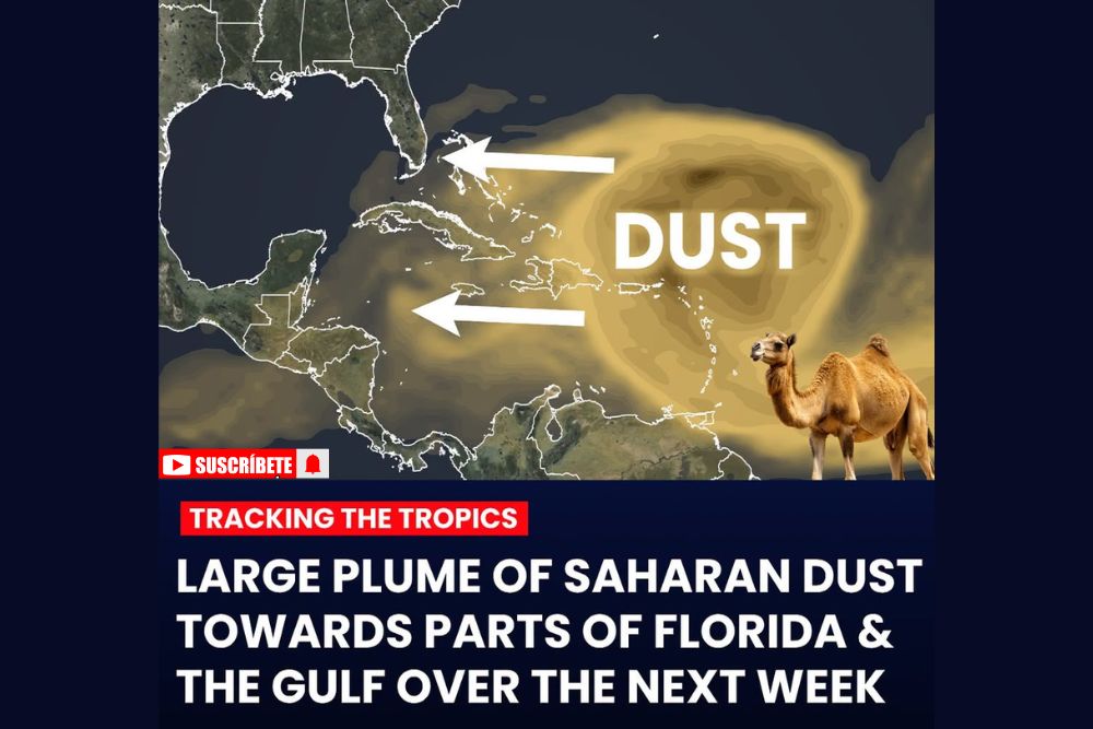Large Plume of Saharan Dust Heads Toward Florida and the Gulf as Historically Quiet Atlantic Hurricane Season Persists Into Next Week Too