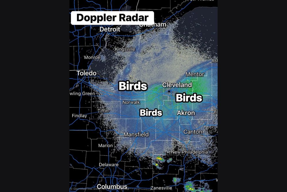 Massive Nocturnal Bird Migration Lights Up NEXRAD Doppler Radar Across Northern and Central Ohio as Over 8 Million Birds Take Overnight Flight