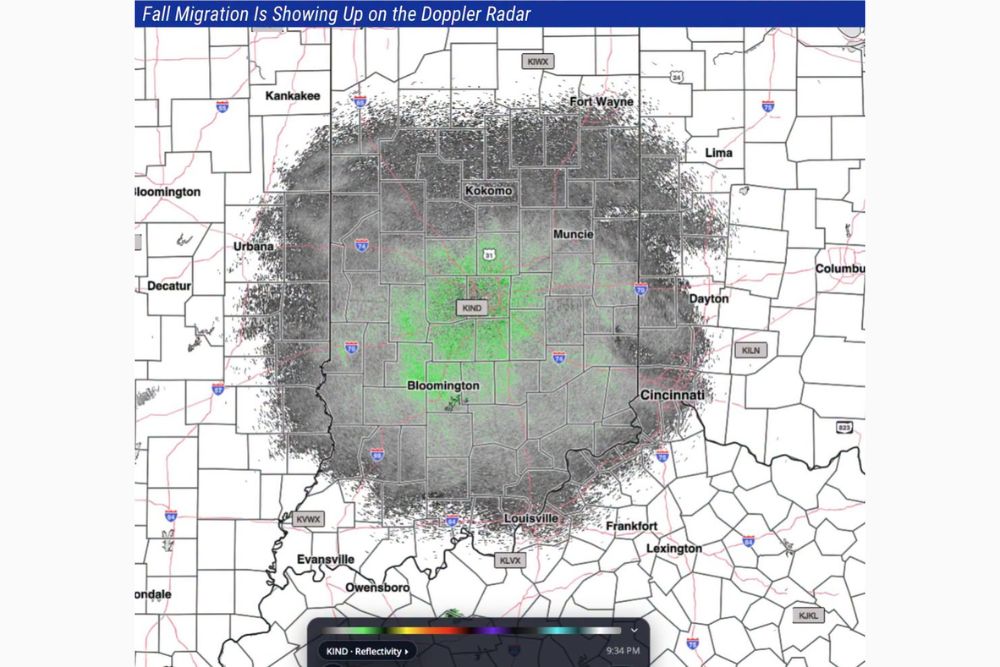 Millions of Migrating Birds Light Up the Indianapolis Doppler Radar as Fall Bird Migration Hits Its Peak Across All of Central Indiana Tonight