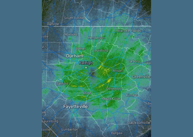 Millions of Migrating Birds Light Up the Raleigh Weather Radar Overnight as Significant Numbers Head South Across North Carolina Ahead of Winter