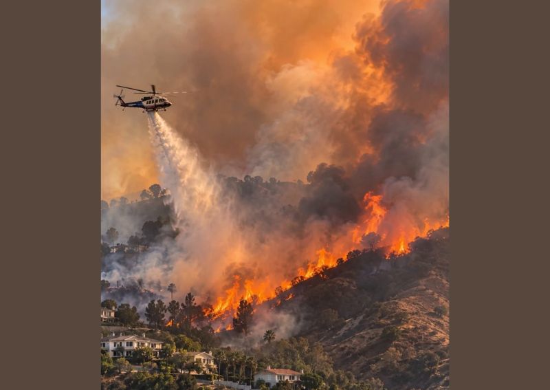 The Palos Fire Burns Homes Near La Habra Heights in Los Angeles County as Evacuations Begin and Firefighters Finally Stop Forward Progress