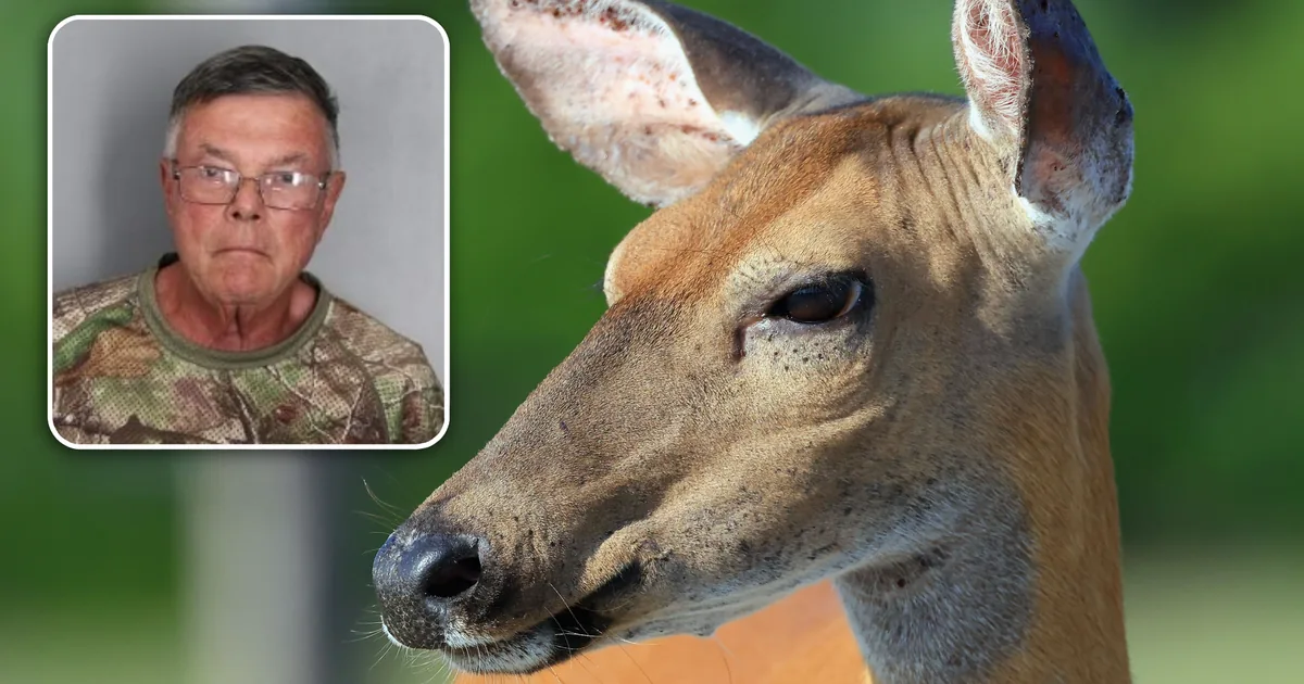 Maryland Hunter Charged in Sussex County Manslaughter Case After Killing Georgetown Woman He Mistook for Deer While Hunting From Ground Blind