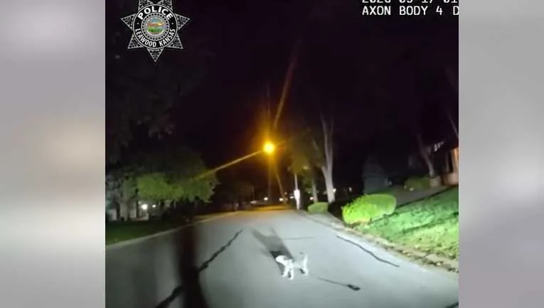A police officer follows a dog with a leash attached to a home in Leawood, Kansas
