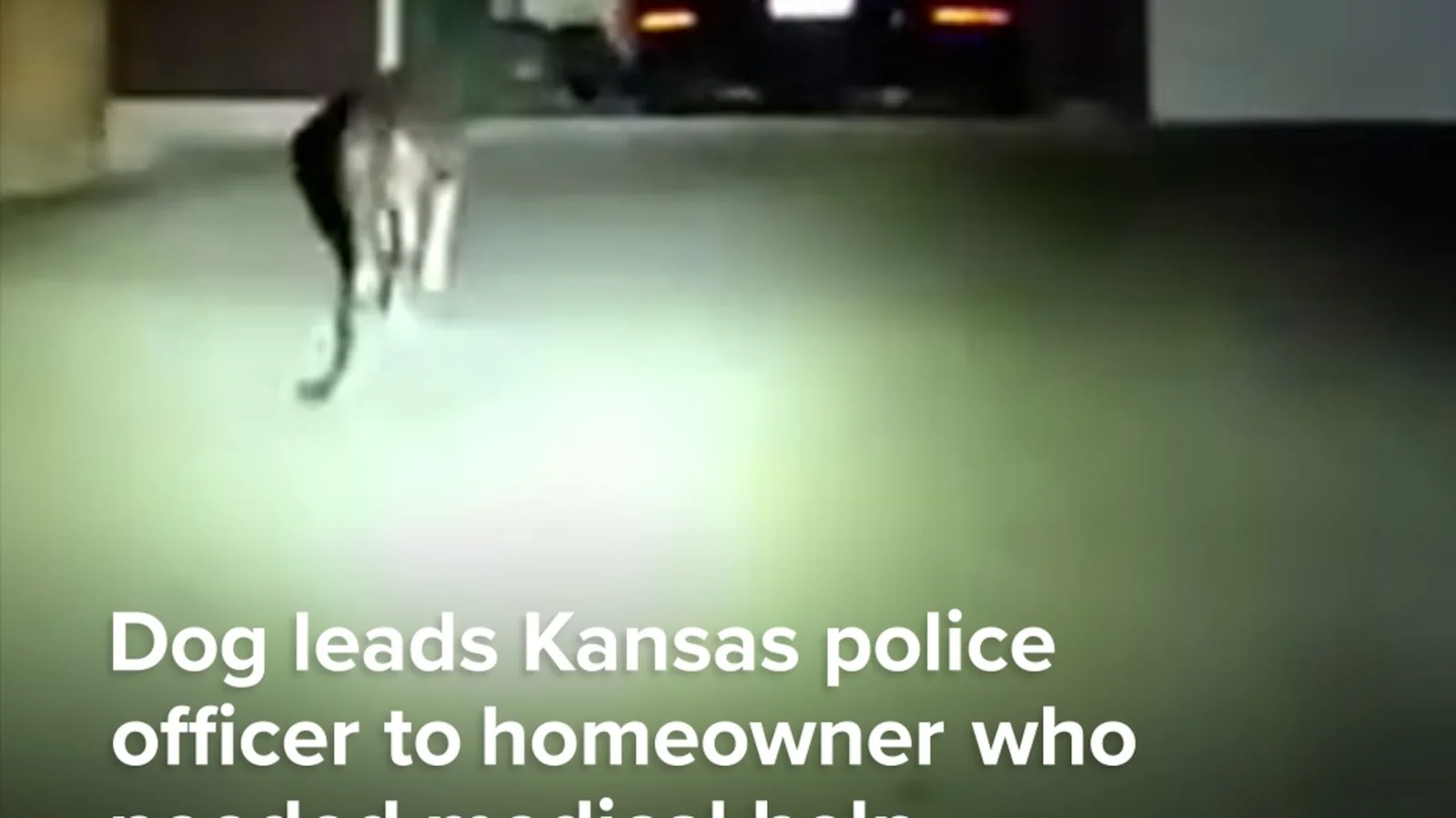 Dog in Kansas Leads Police Officer to Homeowner Who Needed Medical Help After Wandering From Home and Alerting Neighbors to a Problem