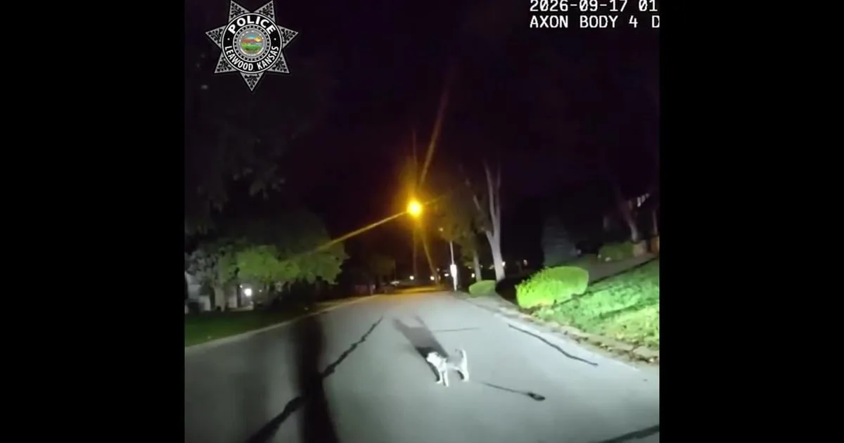 Police body camera view of a dog leading an officer toward a garage in Leawood, Kansas