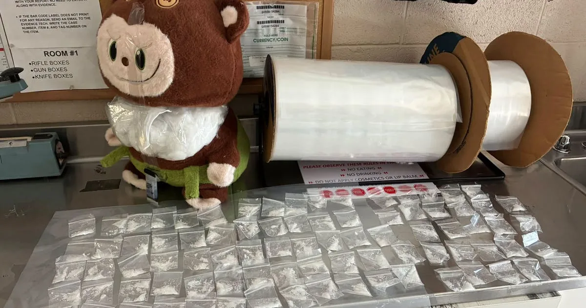 San Luis Police Find 84 Meth Baggies Hidden in Labubu-Style Plush Toy After Welfare Check on 10-Year-Old Left Home Alone in Yuma County